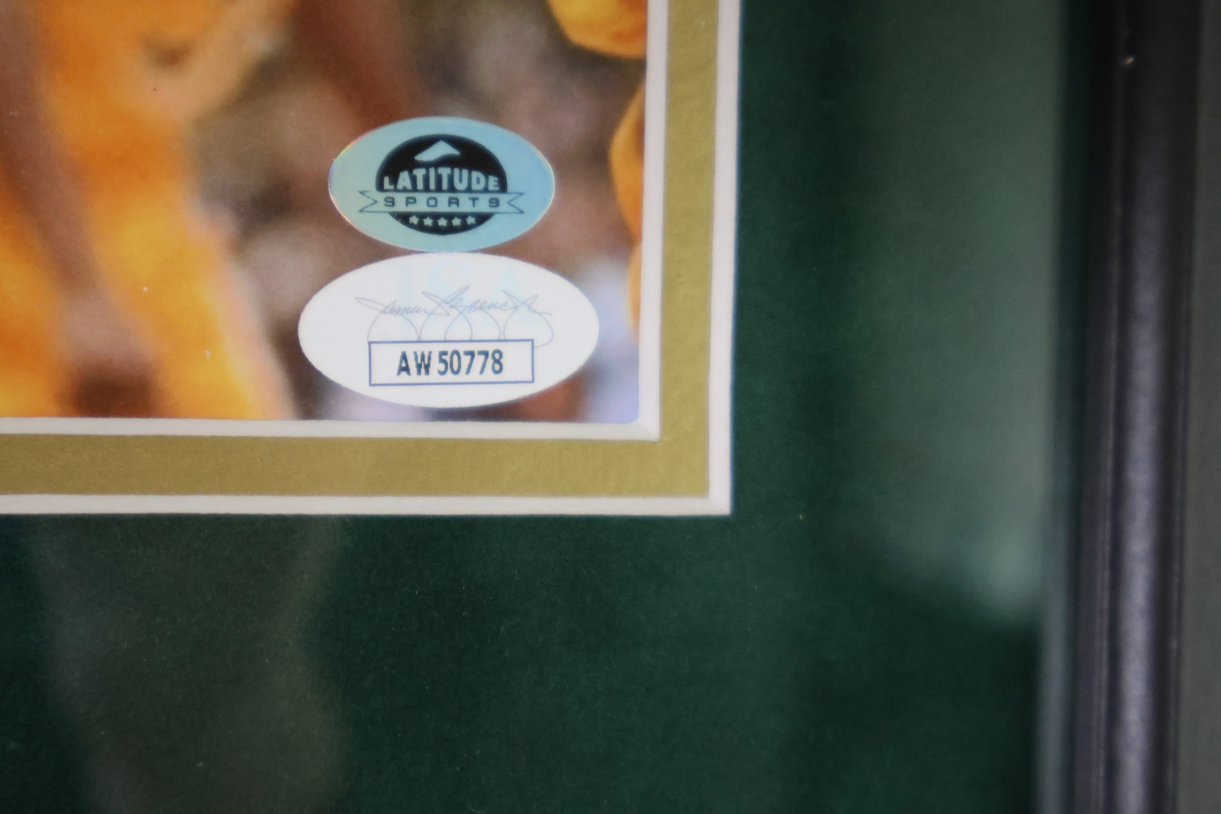 Robert Parish Autographed Celtics 8x10 Framed JSA COA