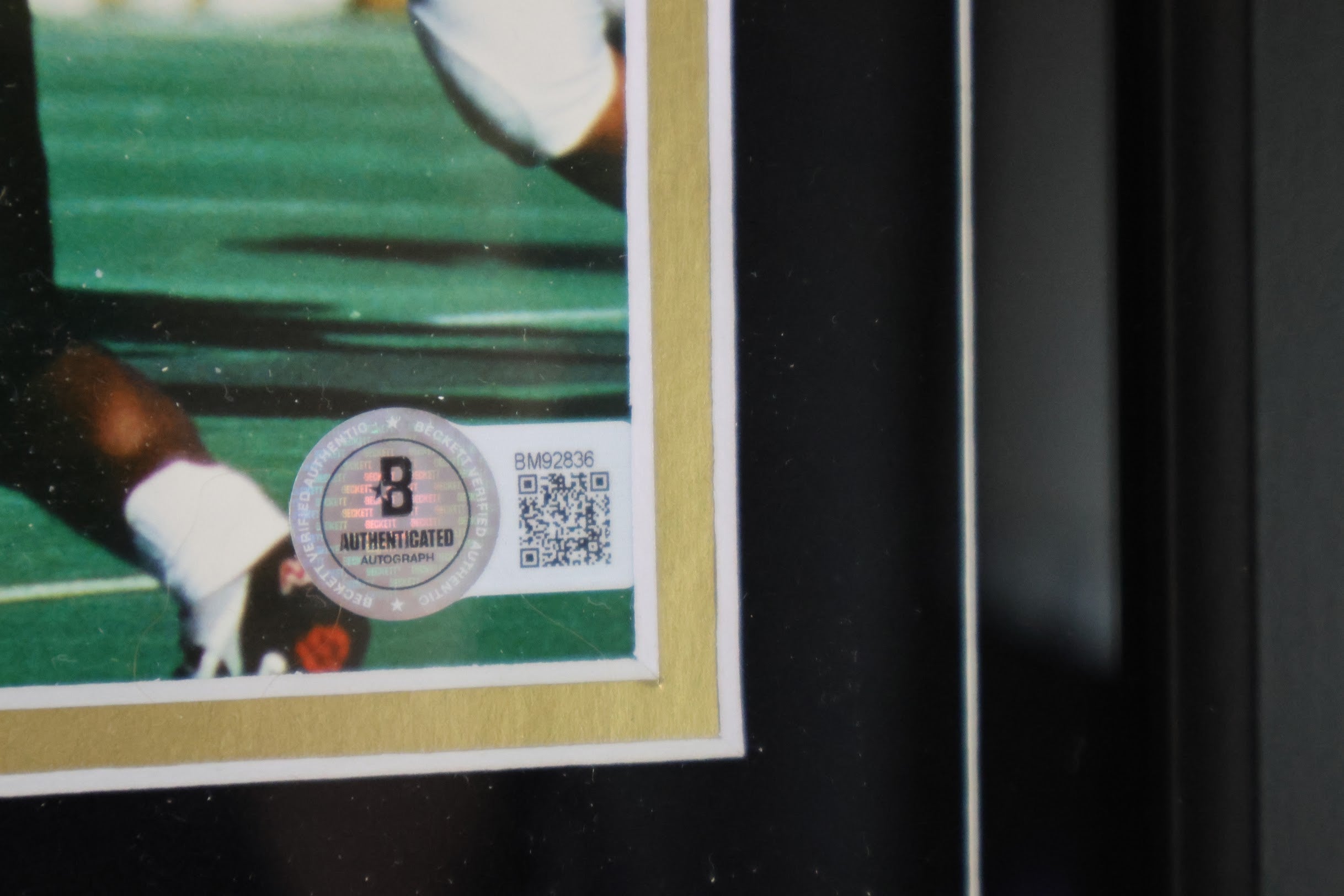 Rashaan Salaam and Kordell Stewart Dual Autographed 8x10 Framed Beckett COA