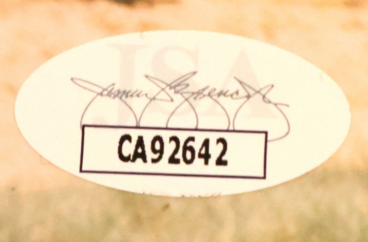 Lou Brock Autographed 8x10 Photo JSA COA