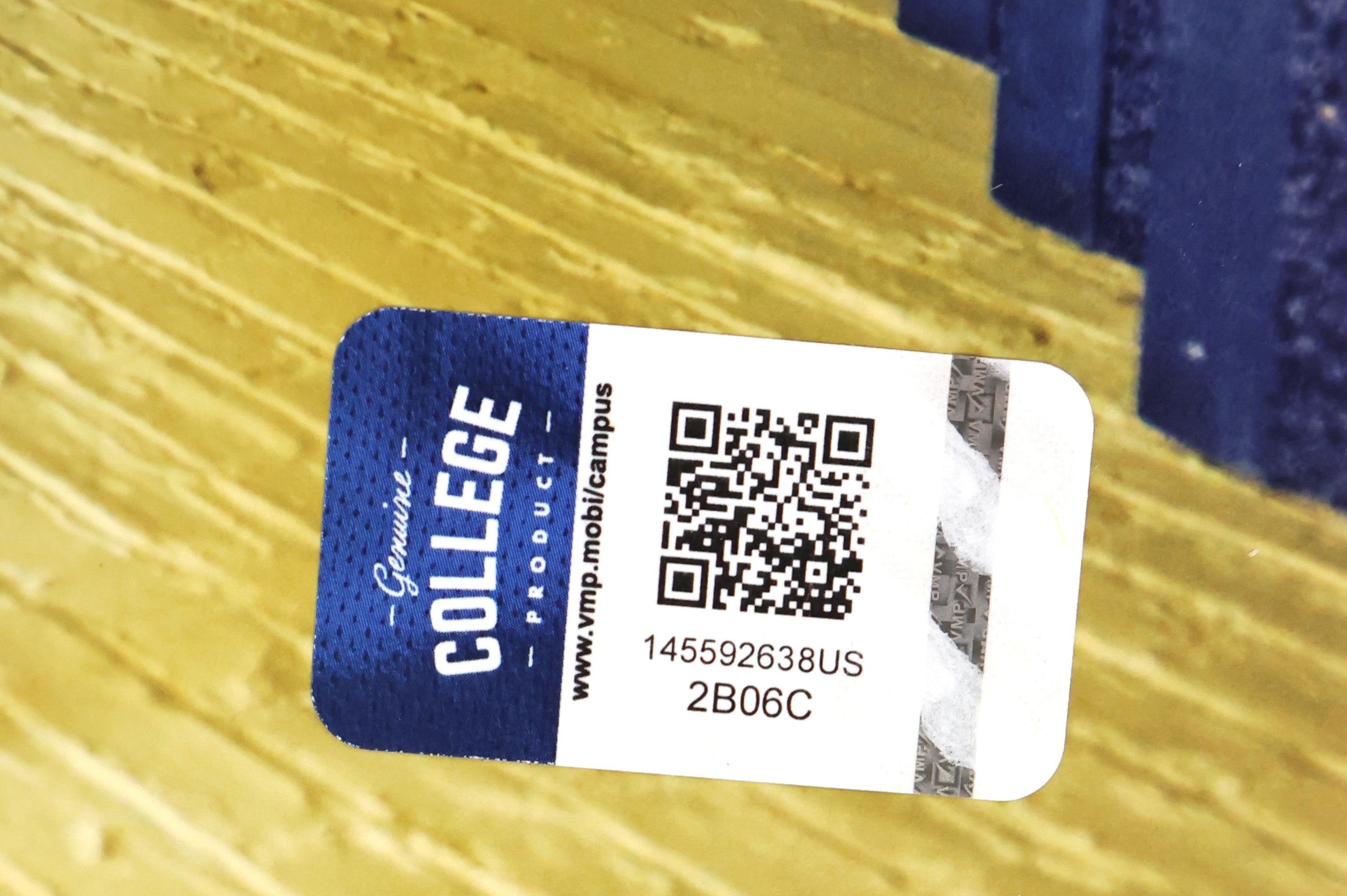 "Play Like a Champion Today" Autographed by Rudy Ruettiger Notre Dame 8x10 Photo Fanatics Authentic