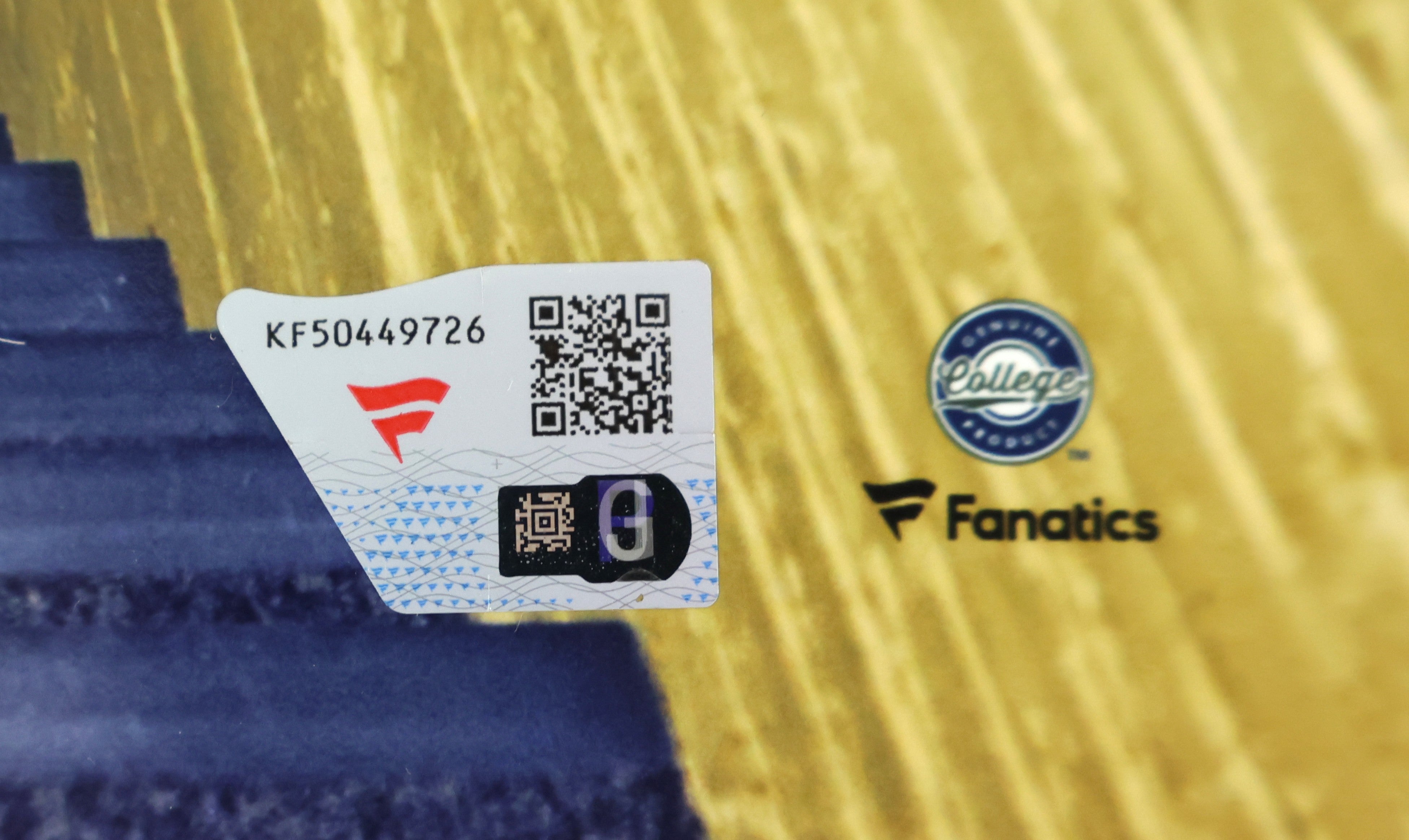 "Play Like a Champion Today" Autographed by Rudy Ruettiger Notre Dame 8x10 Photo Fanatics Authentic