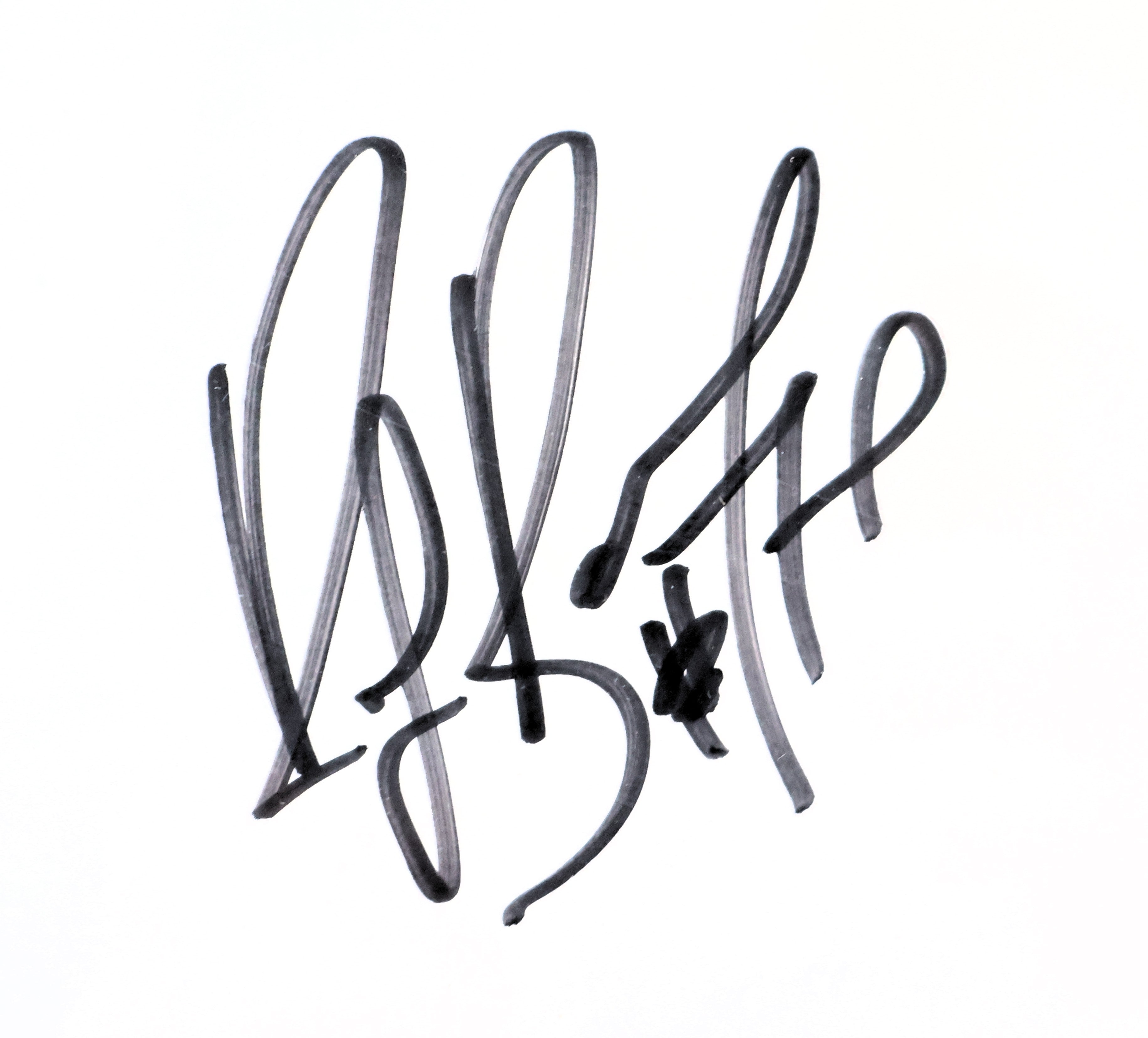 Sakic, Bourque, Skoula, Blake, Hejduk, Foote, Drury, & Roy Autographed Looney Tunes Lithograph LSM COA