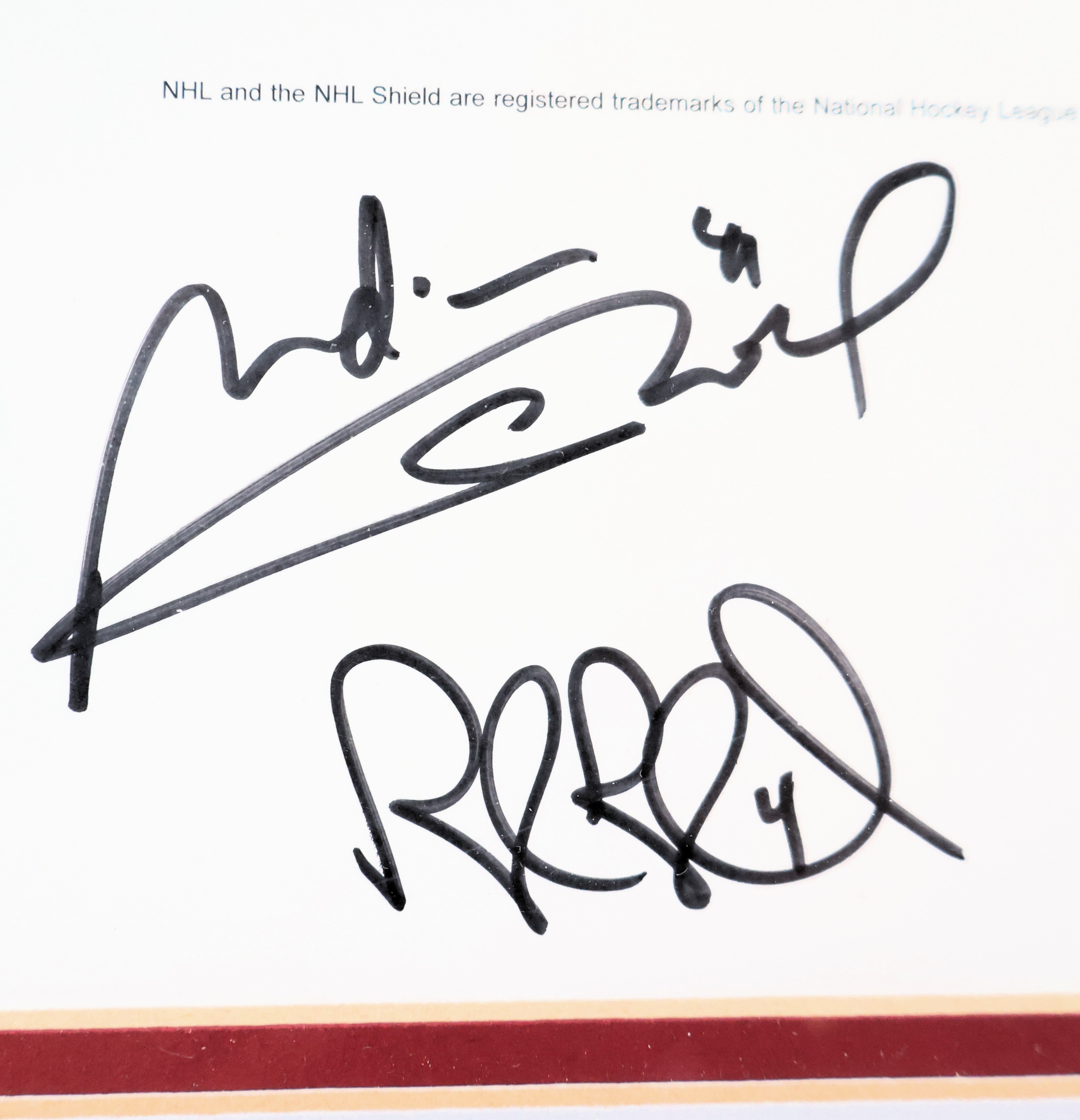 Sakic, Bourque, Skoula, Blake, Hejduk, Foote, Drury, & Roy Autographed Looney Tunes Lithograph LSM COA