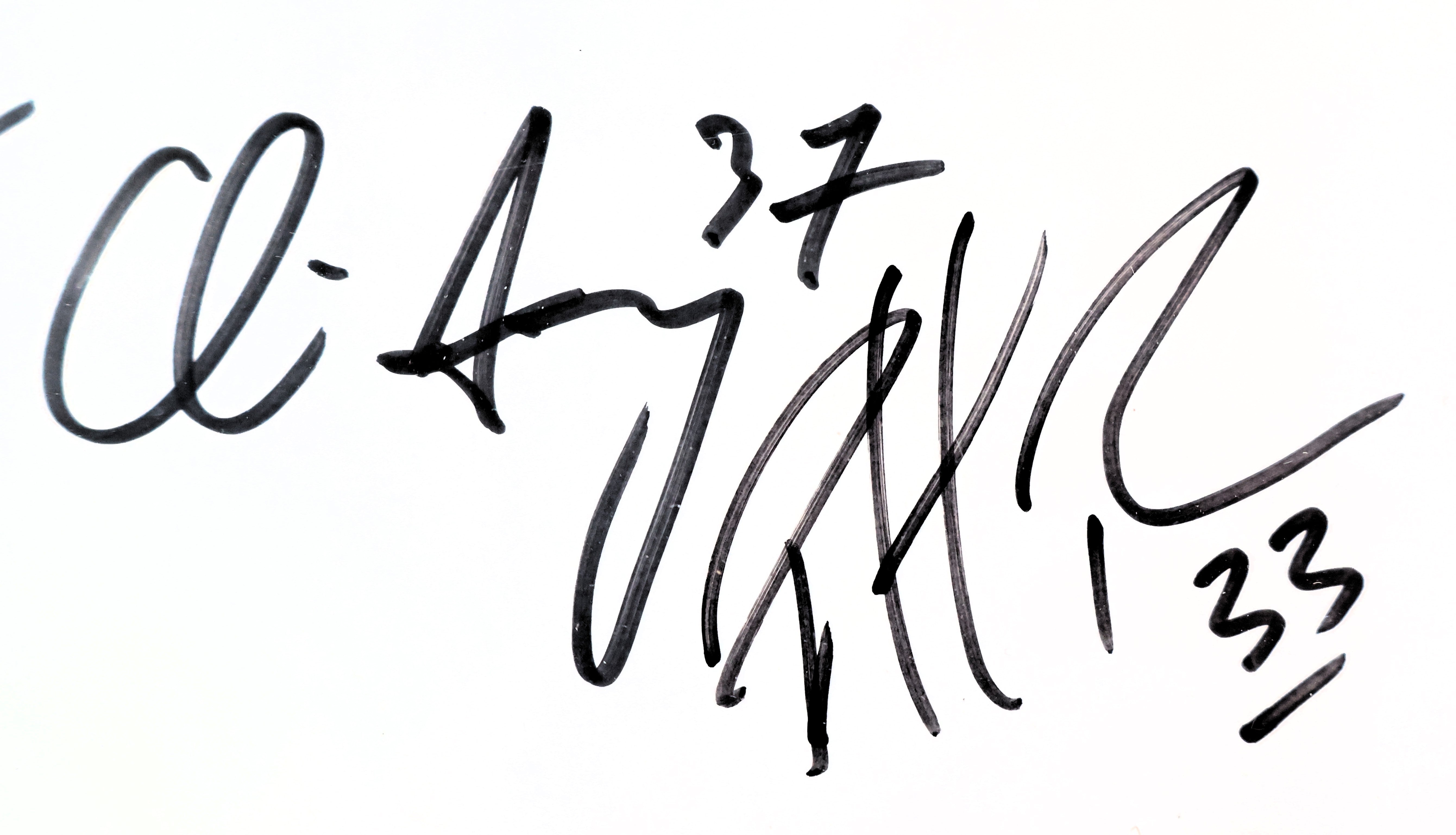 Sakic, Bourque, Skoula, Blake, Hejduk, Foote, Drury, & Roy Autographed Looney Tunes Lithograph LSM COA