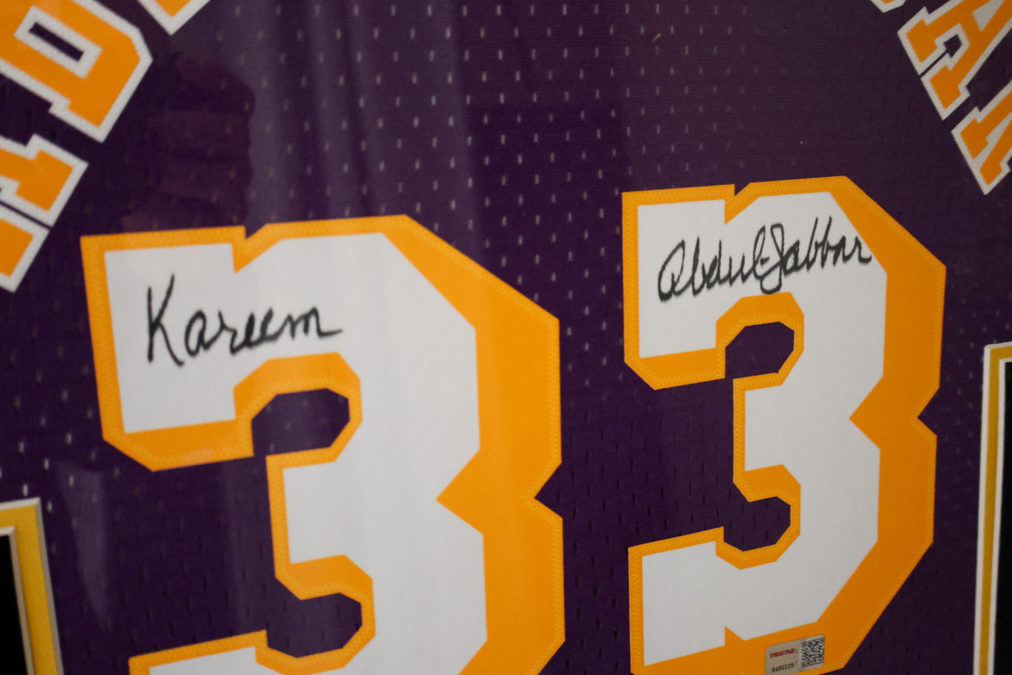 Kareem Abdul-Jabbar Los Angeles Lakers Deluxe Framed Purple Jersey
