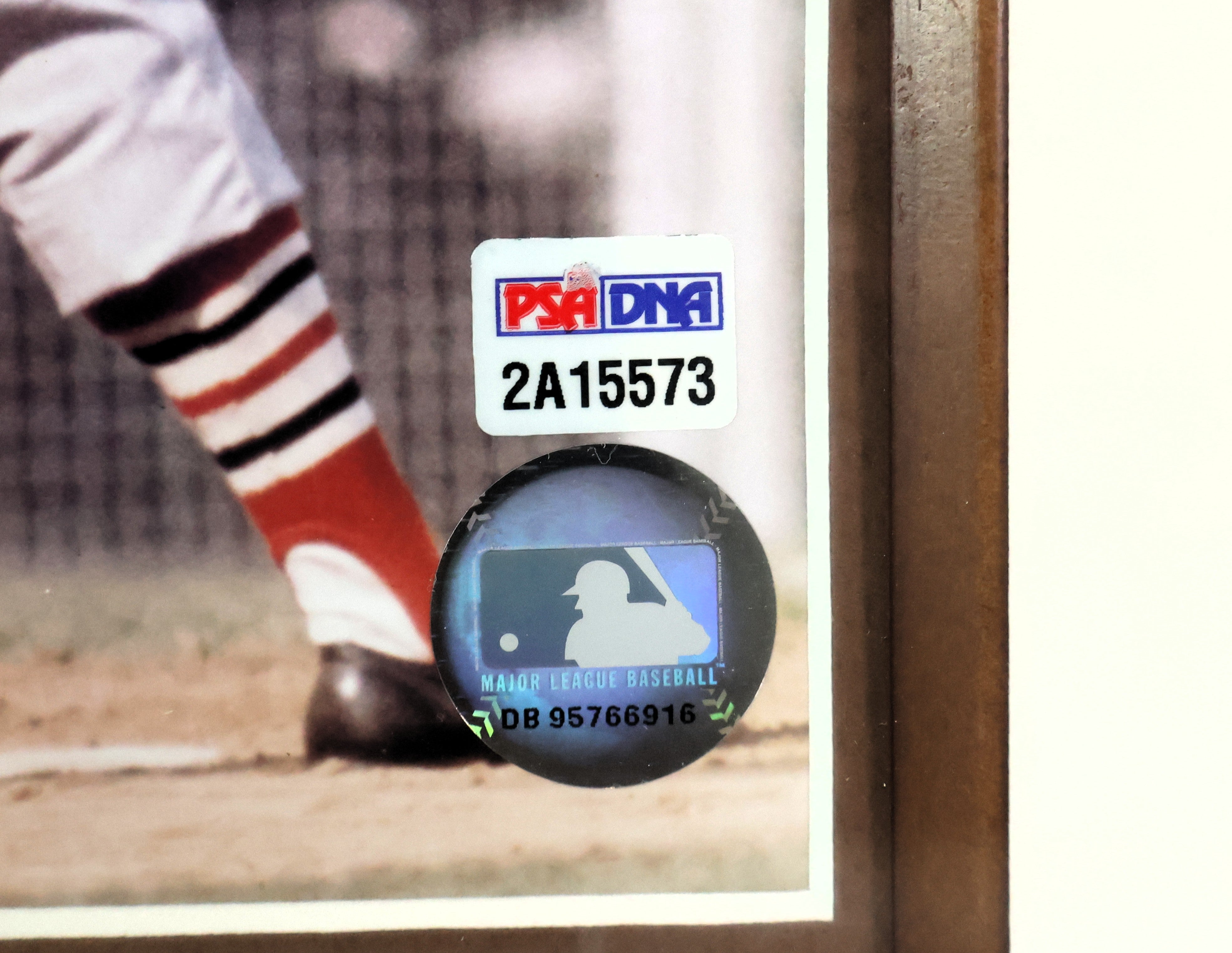 Stan Musial Autographed 8x10 Photo Framed PSA/DNA COA