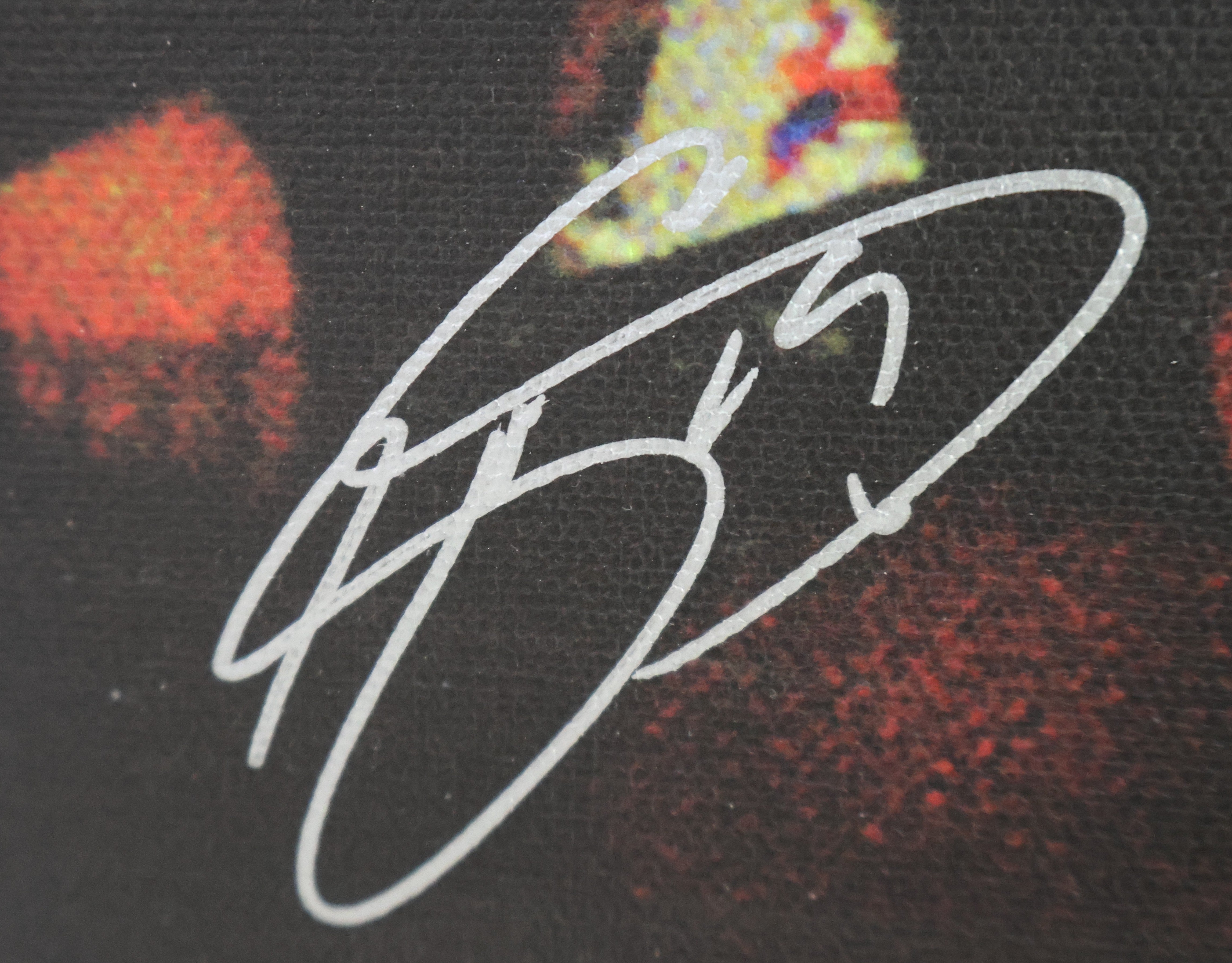 Colorado Avalanche 1996 Stanley Cup Champs Team Signed 38"x26" Canvas Photo/Collage by Stephen Holland