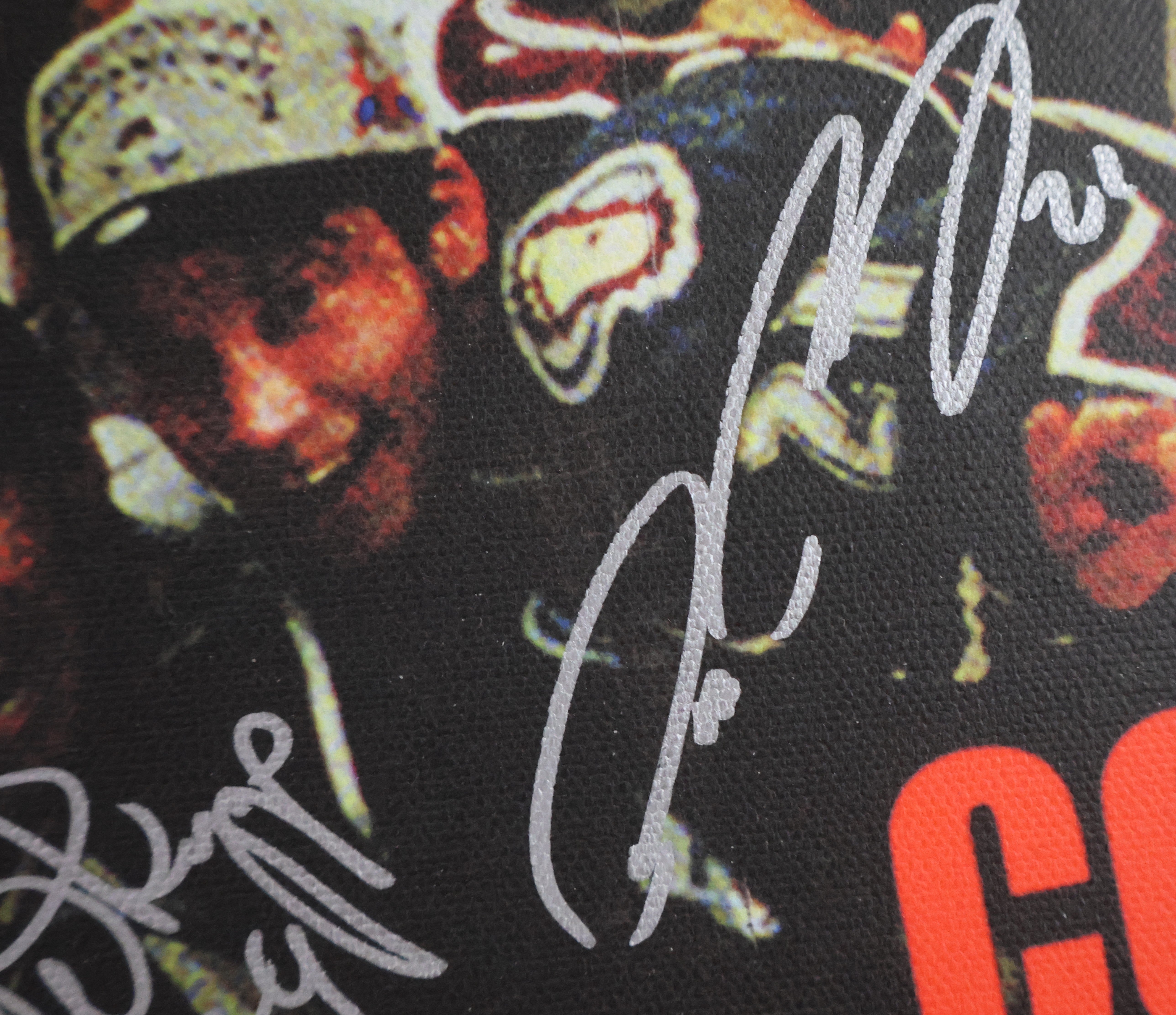 Colorado Avalanche 1996 Stanley Cup Champs Team Signed 38"x26" Canvas Photo/Collage by Stephen Holland