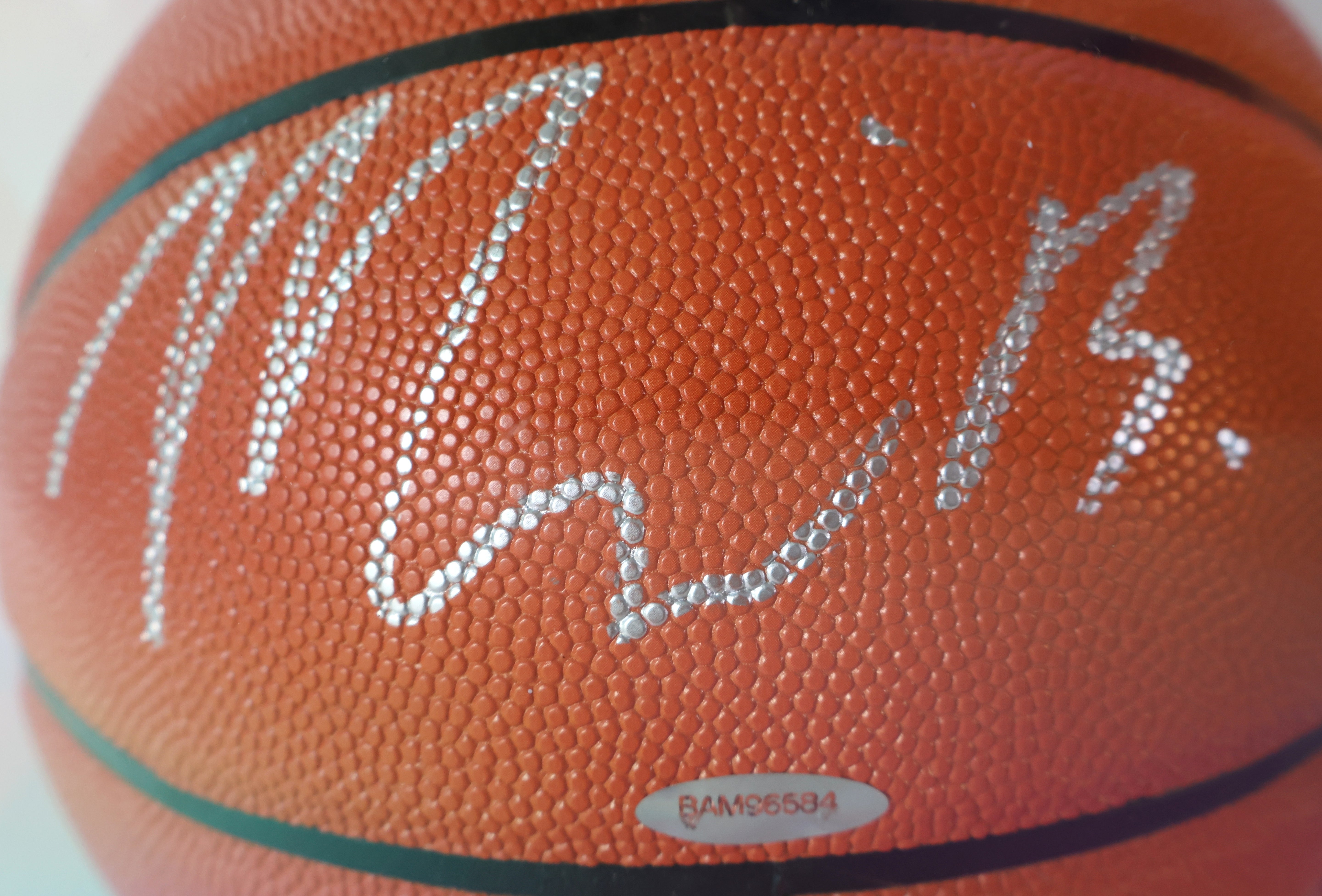 Miles Bridges Autographed Spalding Basketball - with Display Case & Nameplate - UDA COA