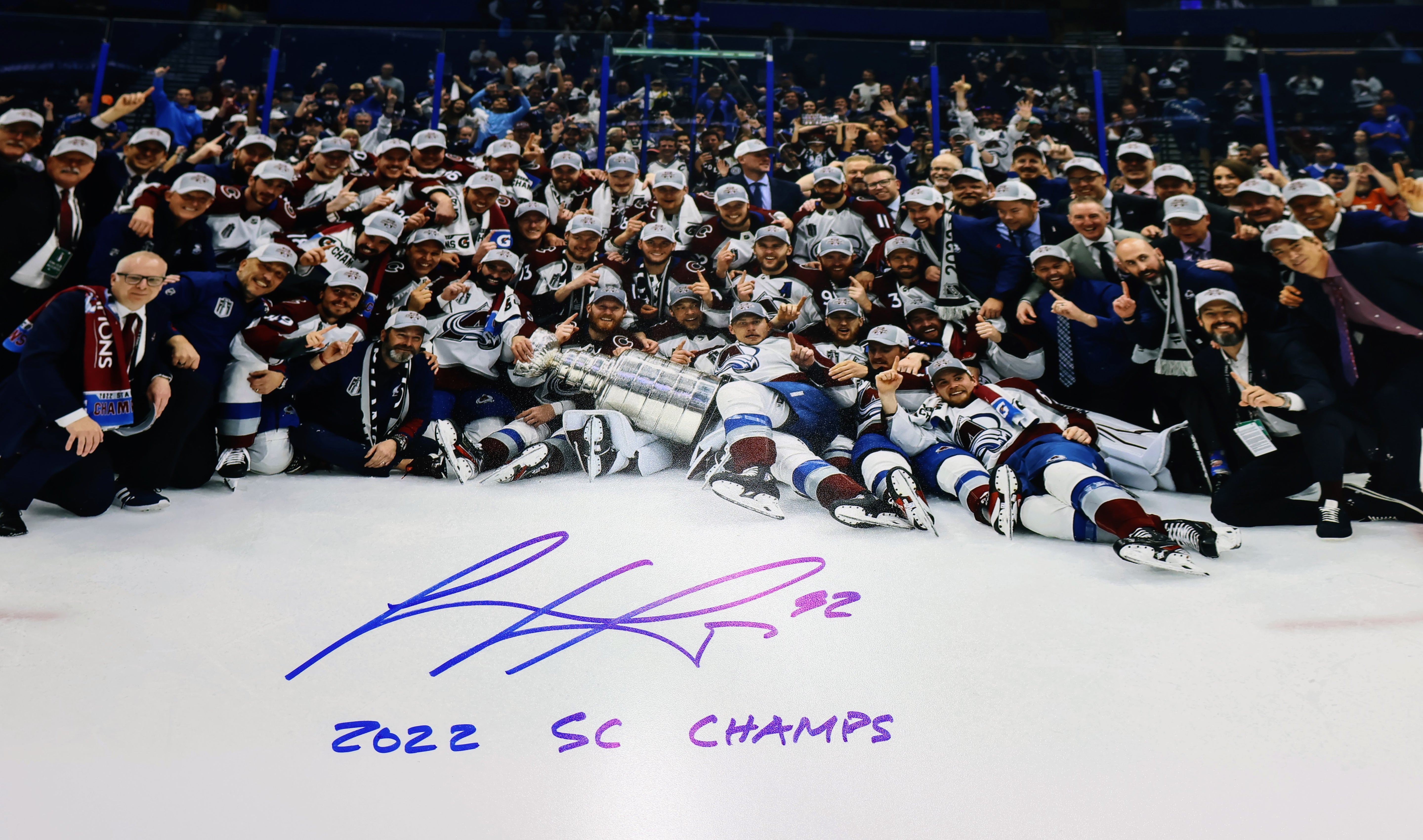 Gabe Landeskog  Team Celebration 16x20 Photo (JSA)