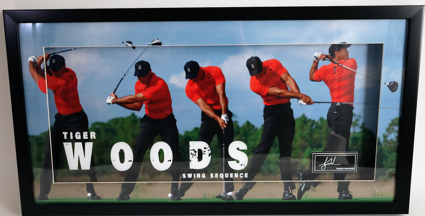 Tiger Woods Laser Signature Engraved Swing Sequence - Framed Golf Collectible