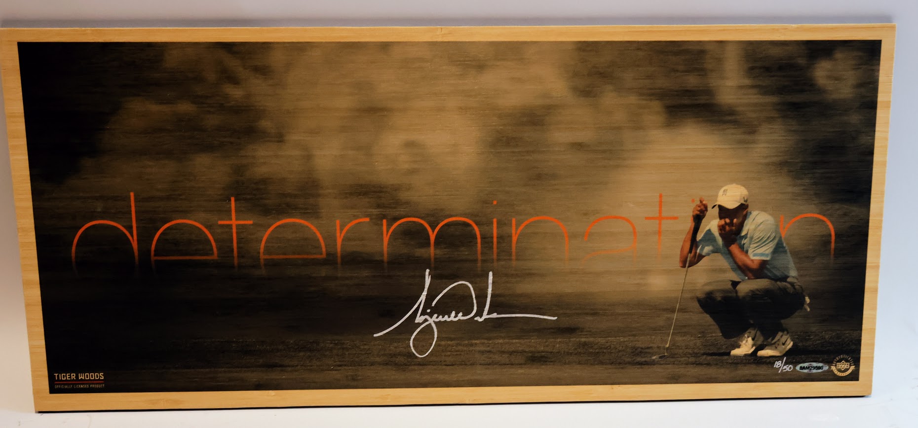 Tiger woods Autographed Unframed 11x25 Determination Photo - Upper Deck COA