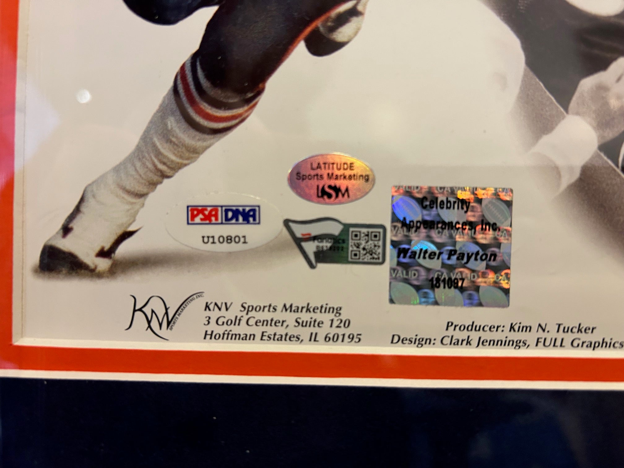 Autographed Walter Payton Chicago Bears 16x20 Deluxe Framed Photo PSA/DNA - Latitude Sports Marketing