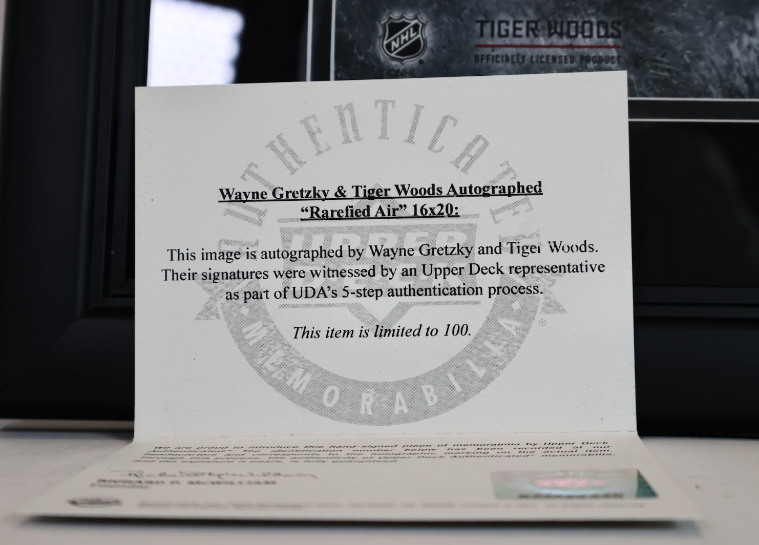 Wayne Gretzky & Tiger Woods Autographed "Rarefied Air" 16x20 Autographed Photo Collage Framed