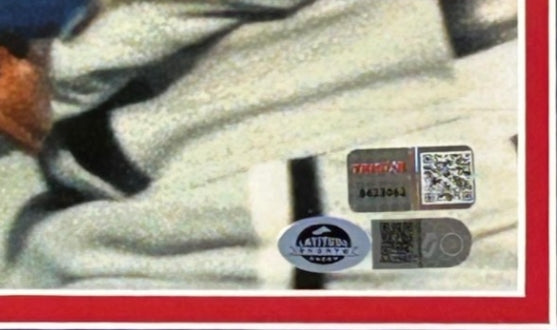 Nolan Ryan Autographed/Inscribed "Don't Mess with Texas" 16x20 Photo Tri-Star