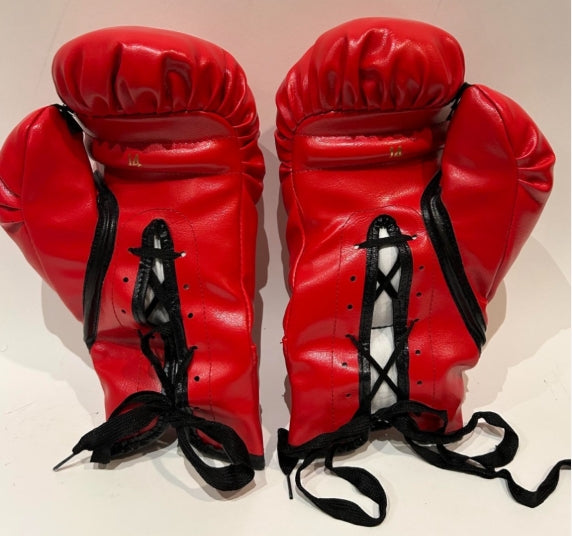 Muhammad Ali Autographed Red Everlast Boxing Gloves - JSA LOA*