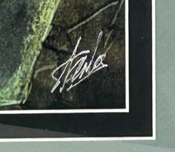 Stan Lee Autographed Assault New Olympus Prologue #1 Marvel Comics LE-14/21 (20x27)