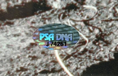 Buzz Aldrin Autographed 16x20 Lunar Landing with U.S. Flag Photo PSA/DNA COA