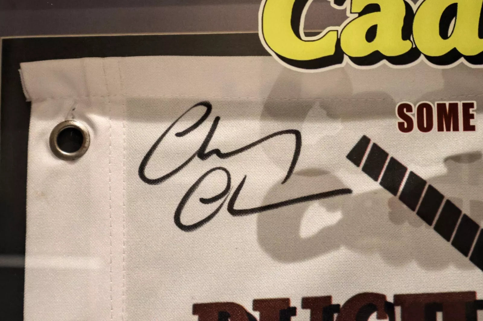 Chevy Chase Caddyshack Bushwood Golf Flag with Deluxe Lighted Frame - TRISTAR