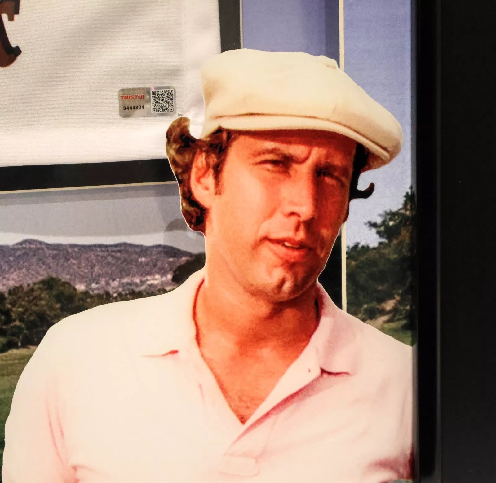 Chevy Chase Caddyshack Bushwood Golf Flag with Deluxe Lighted Frame - TRISTAR