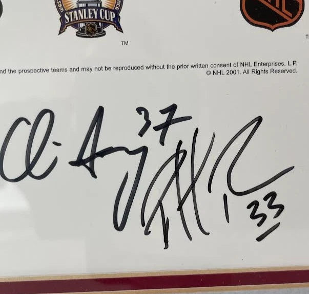 Patrick Roy Colorado Avalanche Autographed Looney Tunes 29"x26.5" Photo JSA COA- 2001 Stanley Cup Team Signed