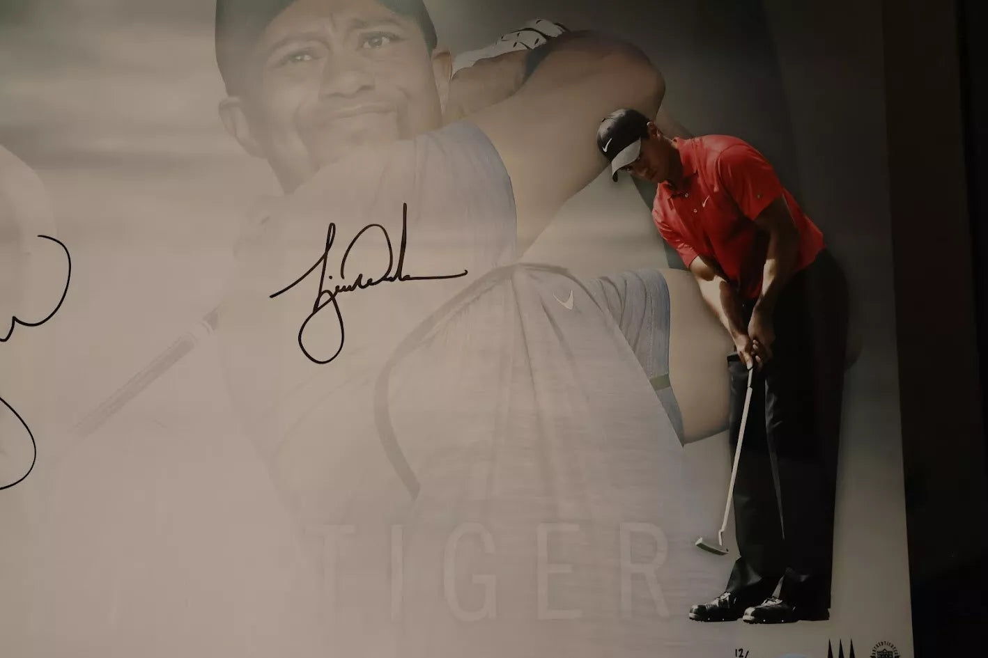 Serena Williams & Tiger Woods Autographed Piece - Upper Deck