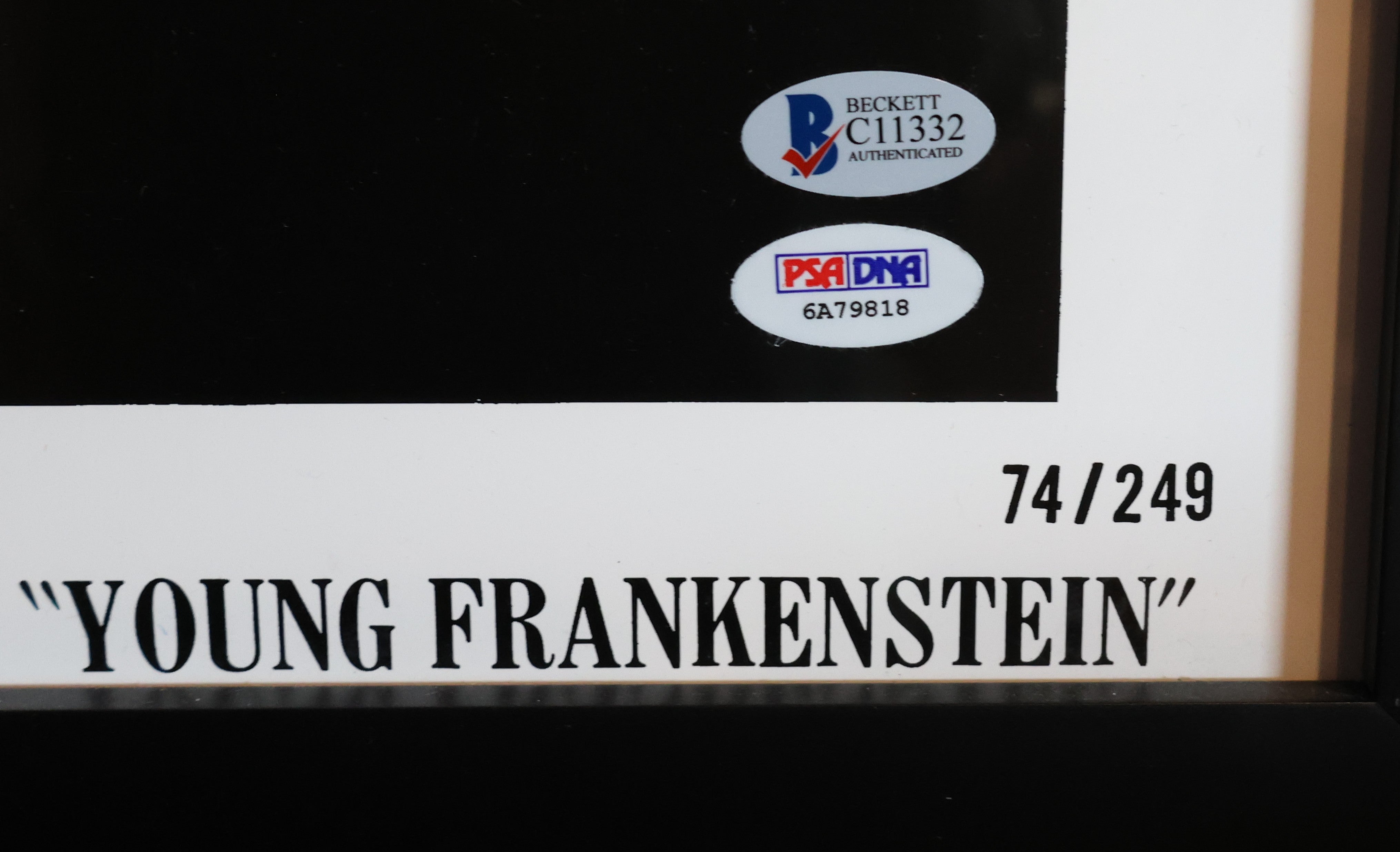 Young Frankenstein Framed Movie Poster signed by Mel Brooks and Gene Wilder