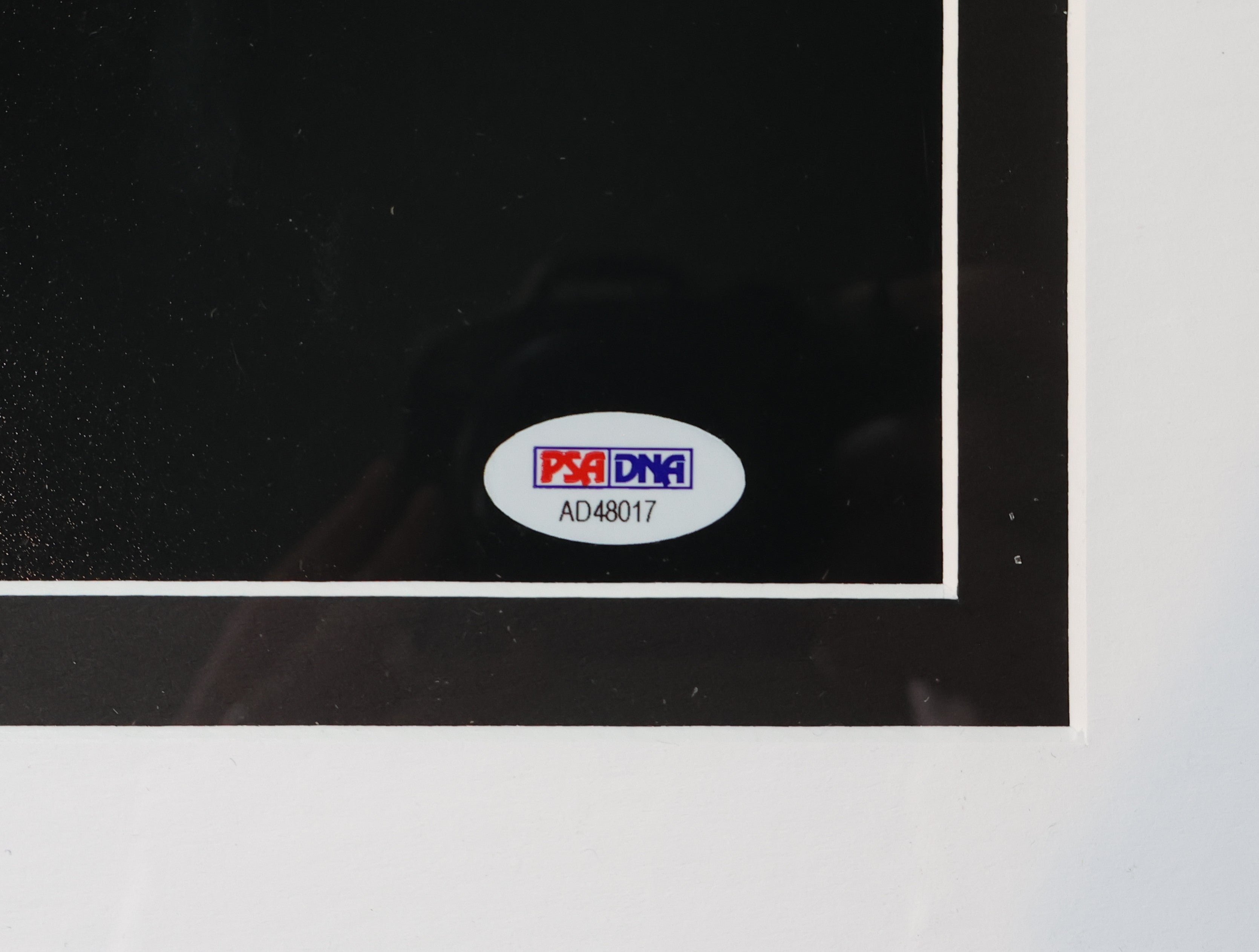 Tony Bennett Autographed 8x10 B/W Framed Photo PSA/DNA COA (AD48017)