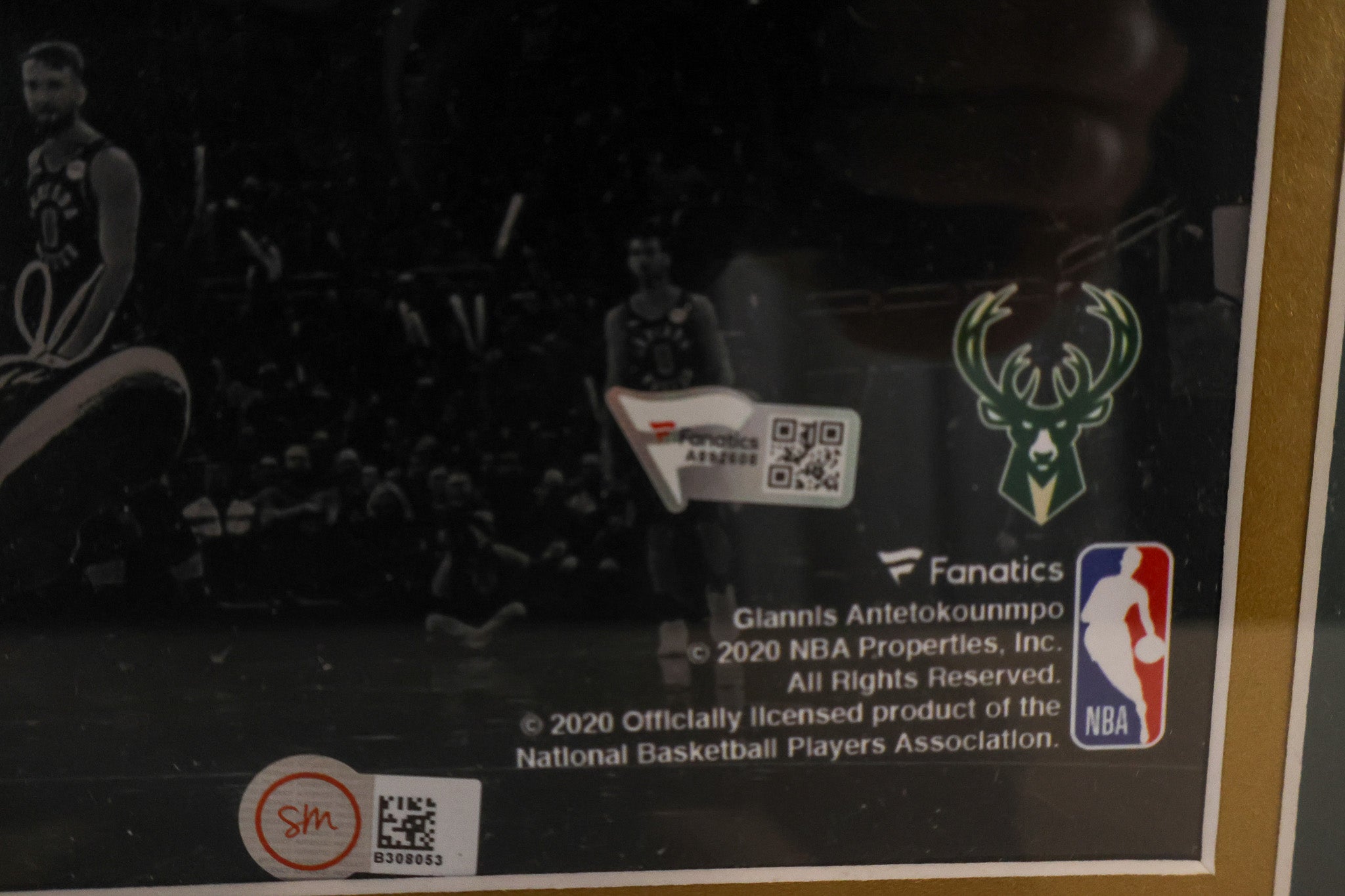 Giannis Antetokounmpo Autographed Milwaukee Bucks 11x14 Photo (Fanatics COA)