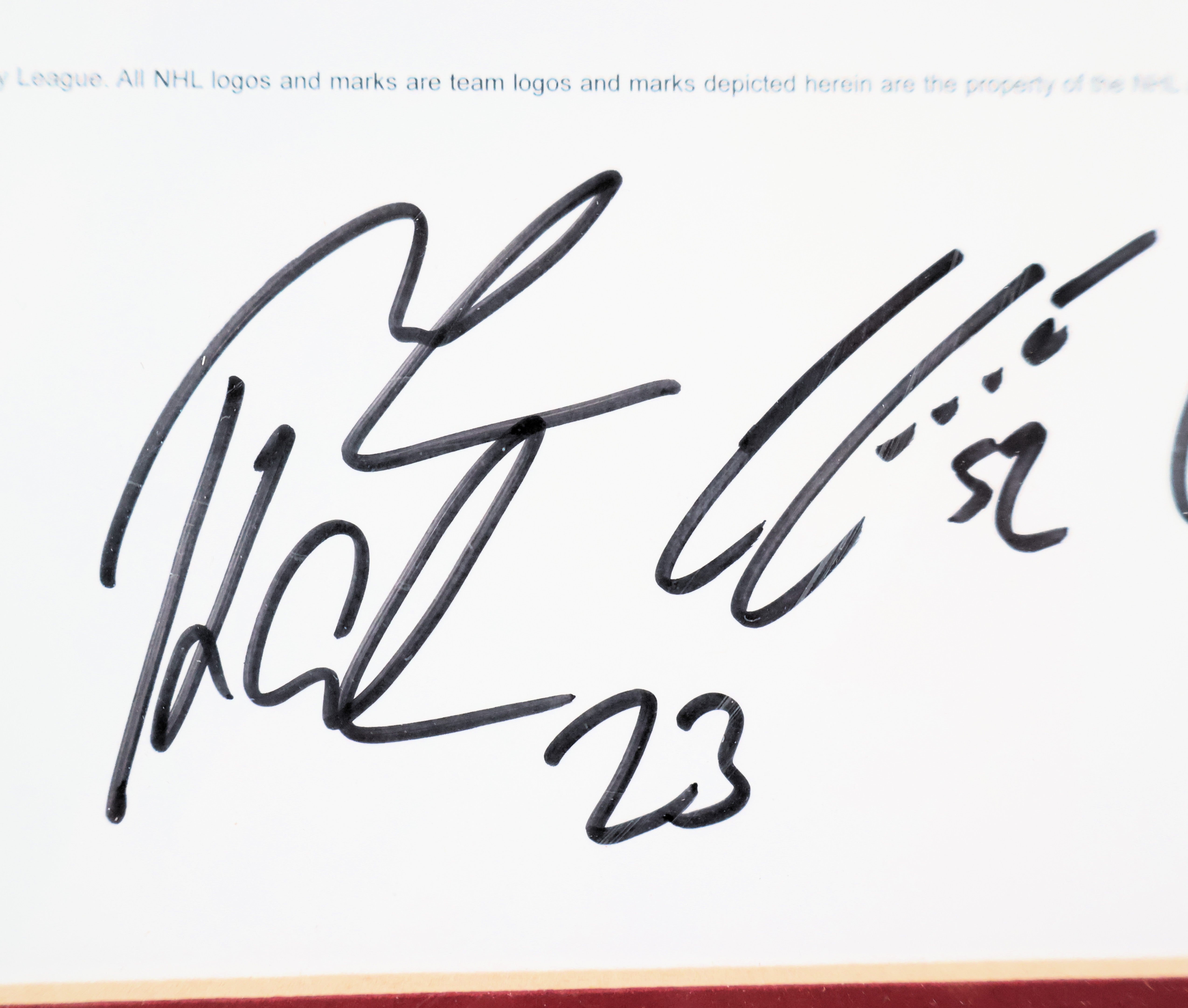 Sakic, Bourque, Skoula, Blake, Hejduk, Foote, Drury, & Roy Autographed Looney Tunes Lithograph LSM COA