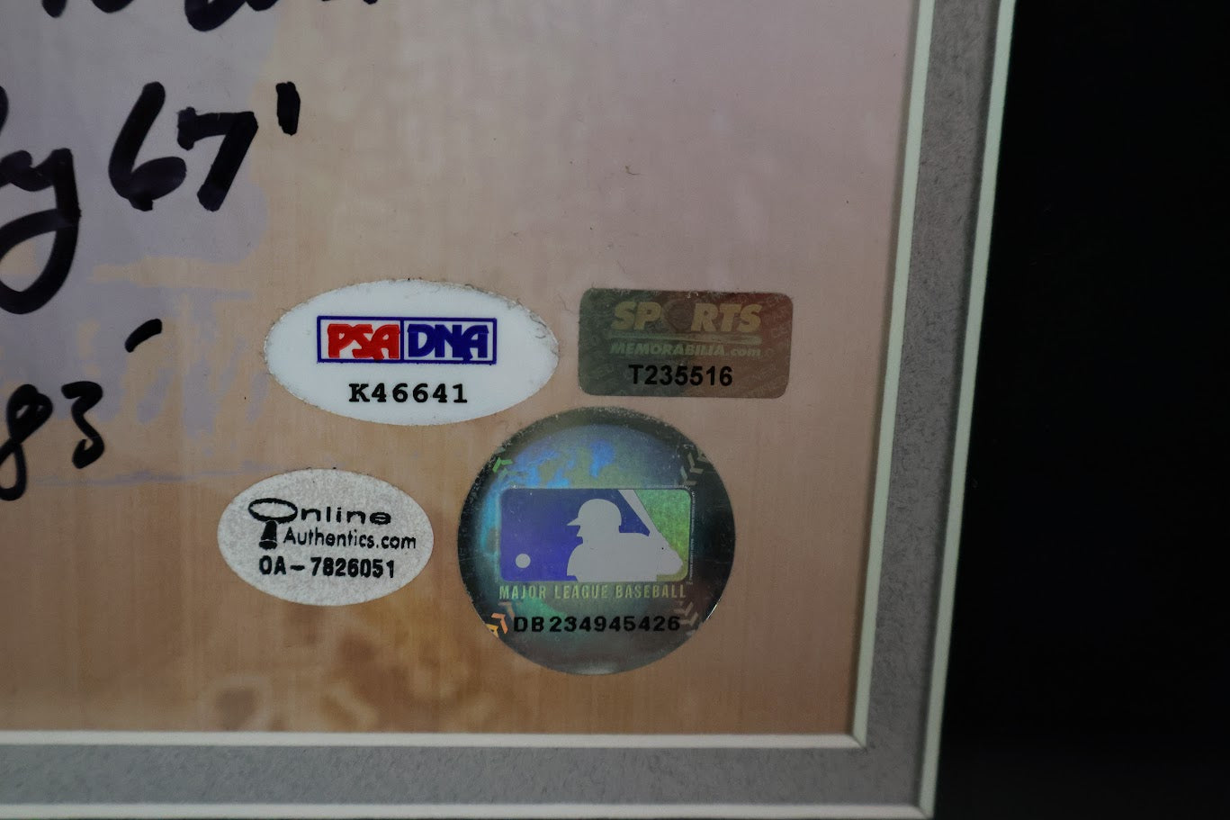Cy Young Award Winner Multiple Autographs With Koufax 16x20 Photo Framed PSA LOA