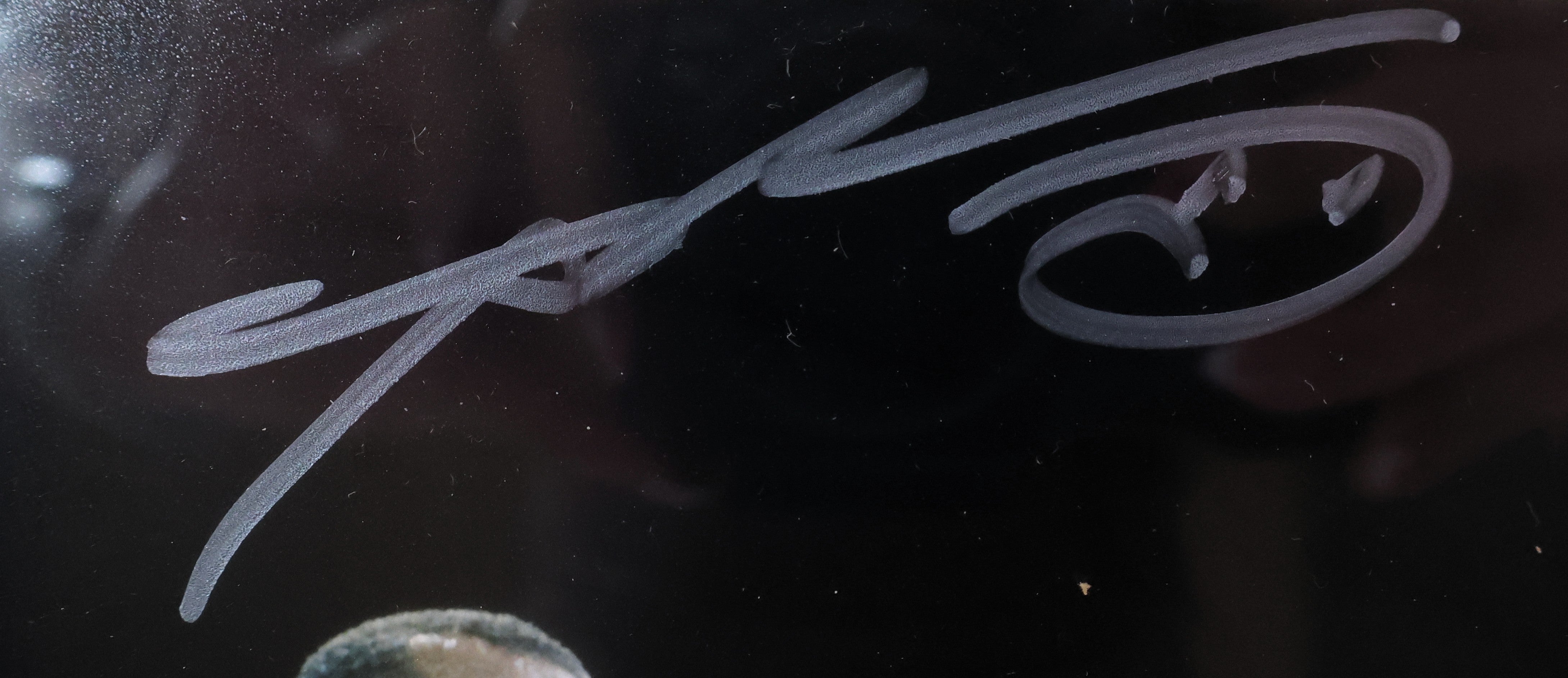 Sugar Ray Leonard Autographed 8x10 Photo Framed Beckett COA