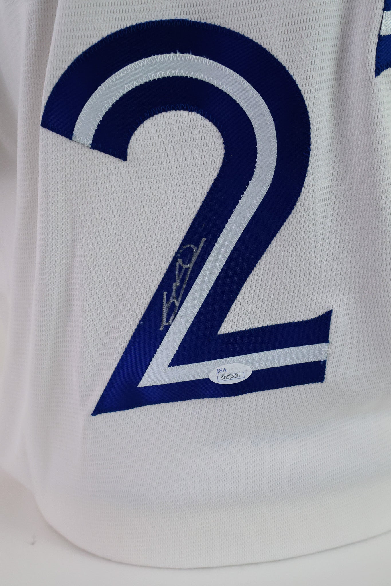 Vladimir Guerrero Jr. Toronto Blue Jays Autographed Majestic Jersey - JSA