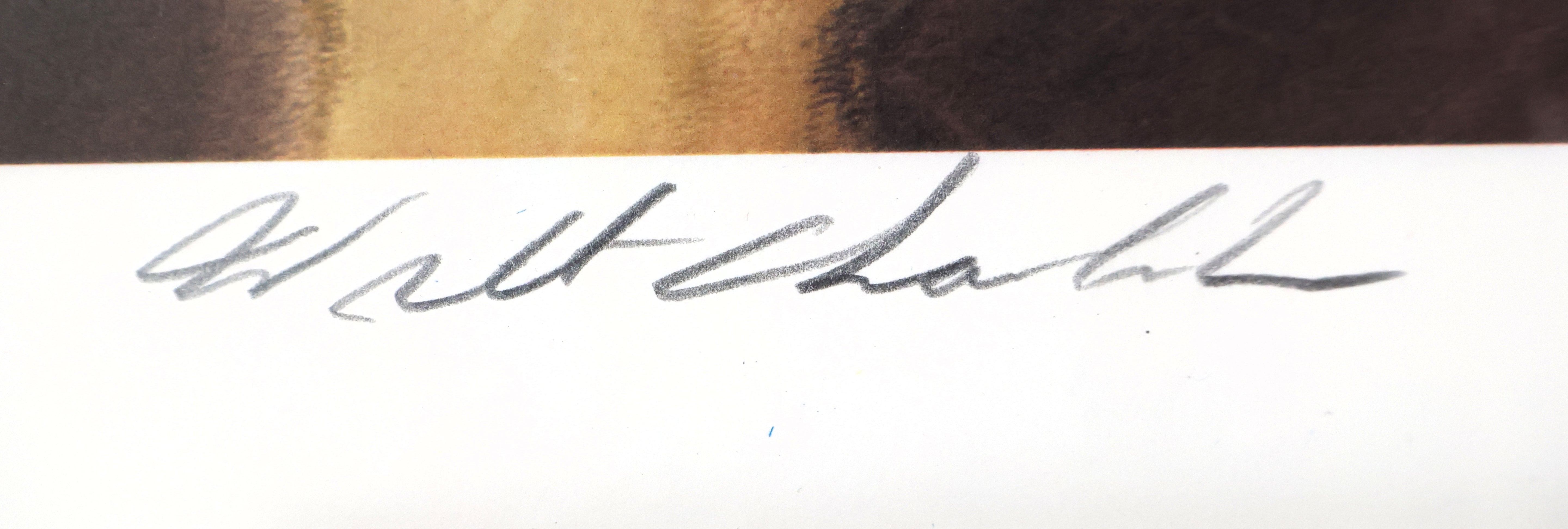 John Havlicek & Wilt Chamberlain Autographed 16x20 Lithograph Framed PSA LOA