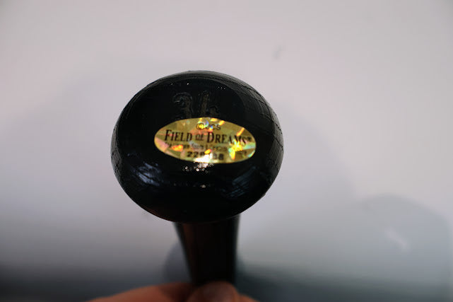 Ian Desmond Rawlings Big Stick Autographed Baseball Bat