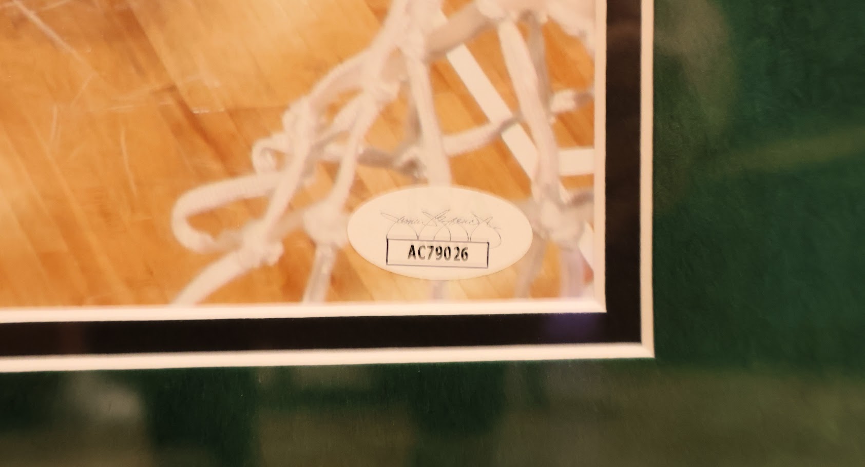 Giannis Antetokounmpo Autographed 11x14 Photo Framed JSA COA