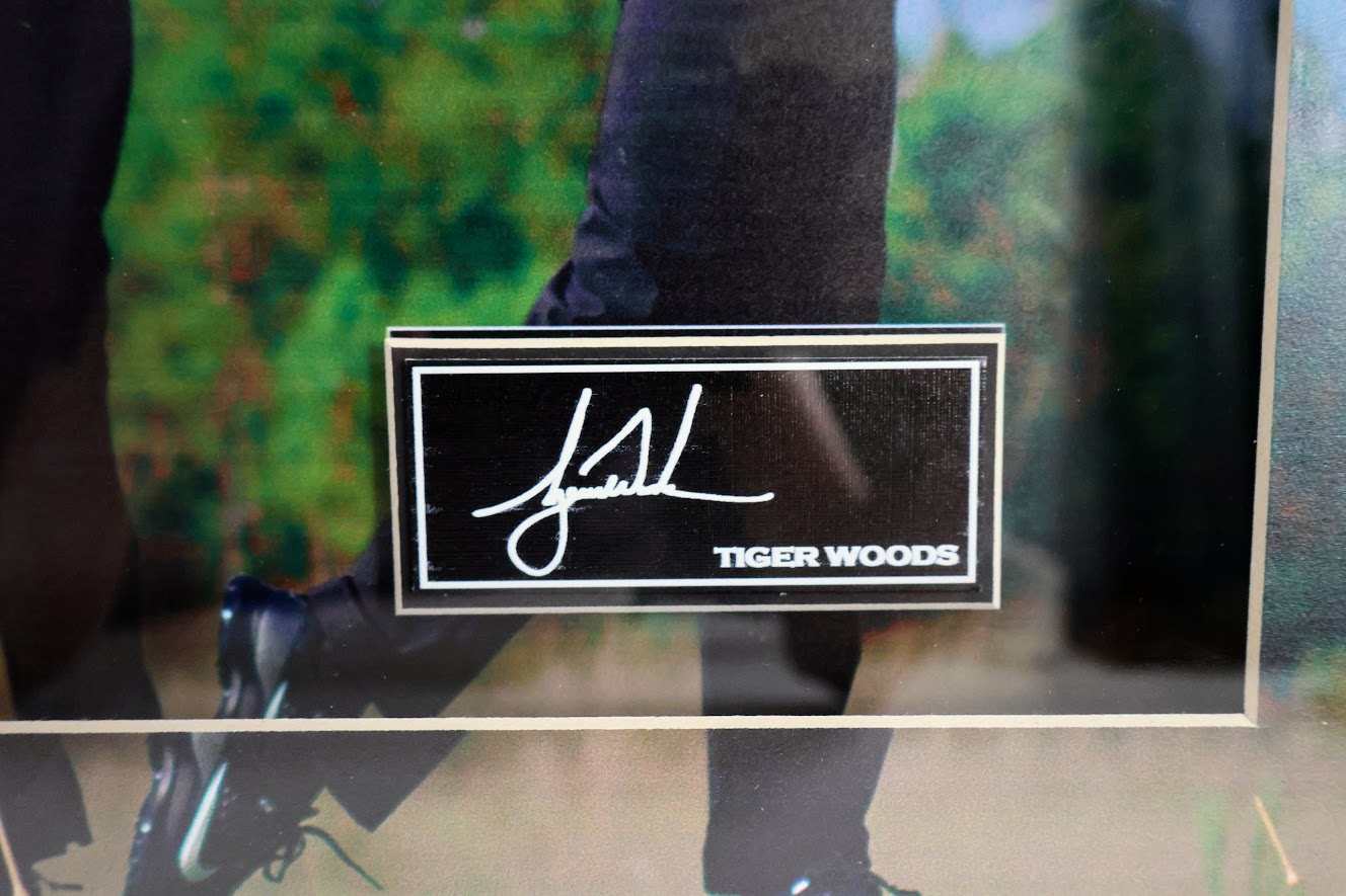 Tiger Woods Laser Signature Engraved Swing Sequence - Framed Golf Collectible