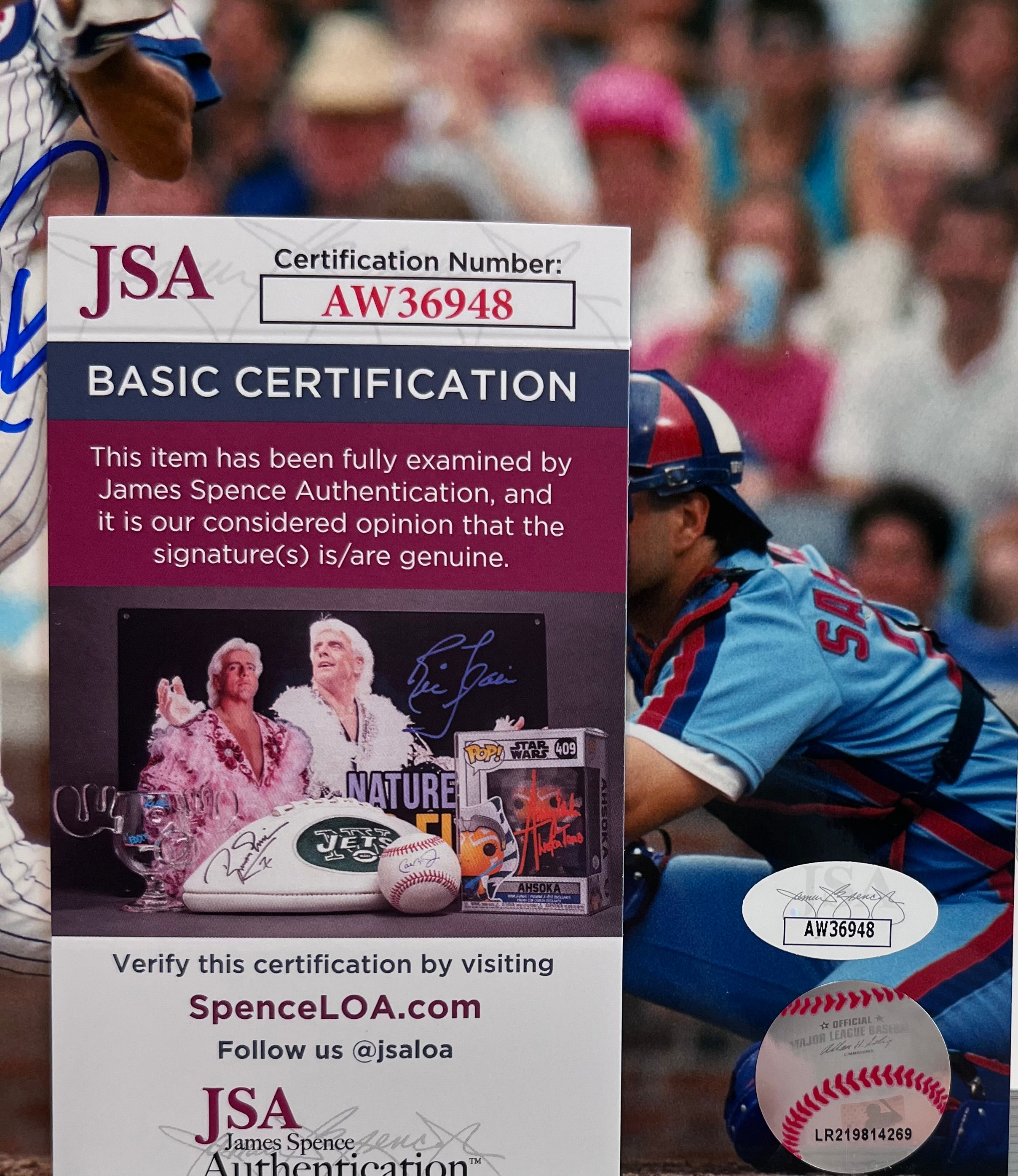 Ryne Sandberg " Autographed 8x10 photo