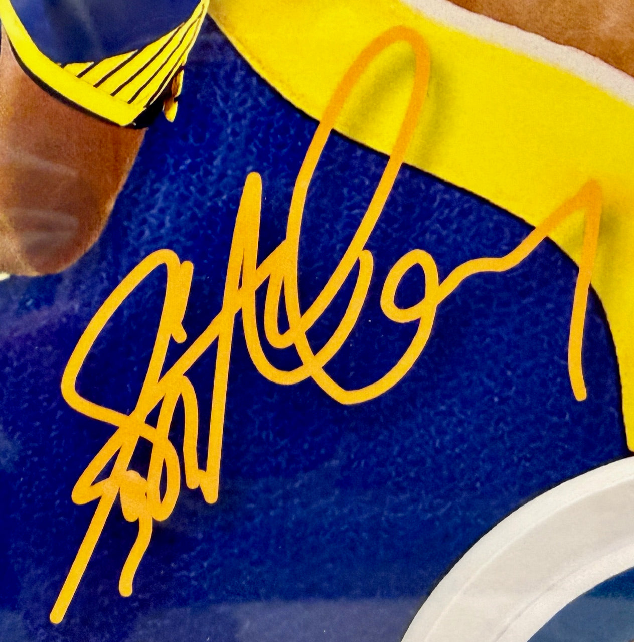 Stephen Curry Golden State Warriors Highland Mint Photo and Coin LE 23/1000 w/ Facsimile Signature