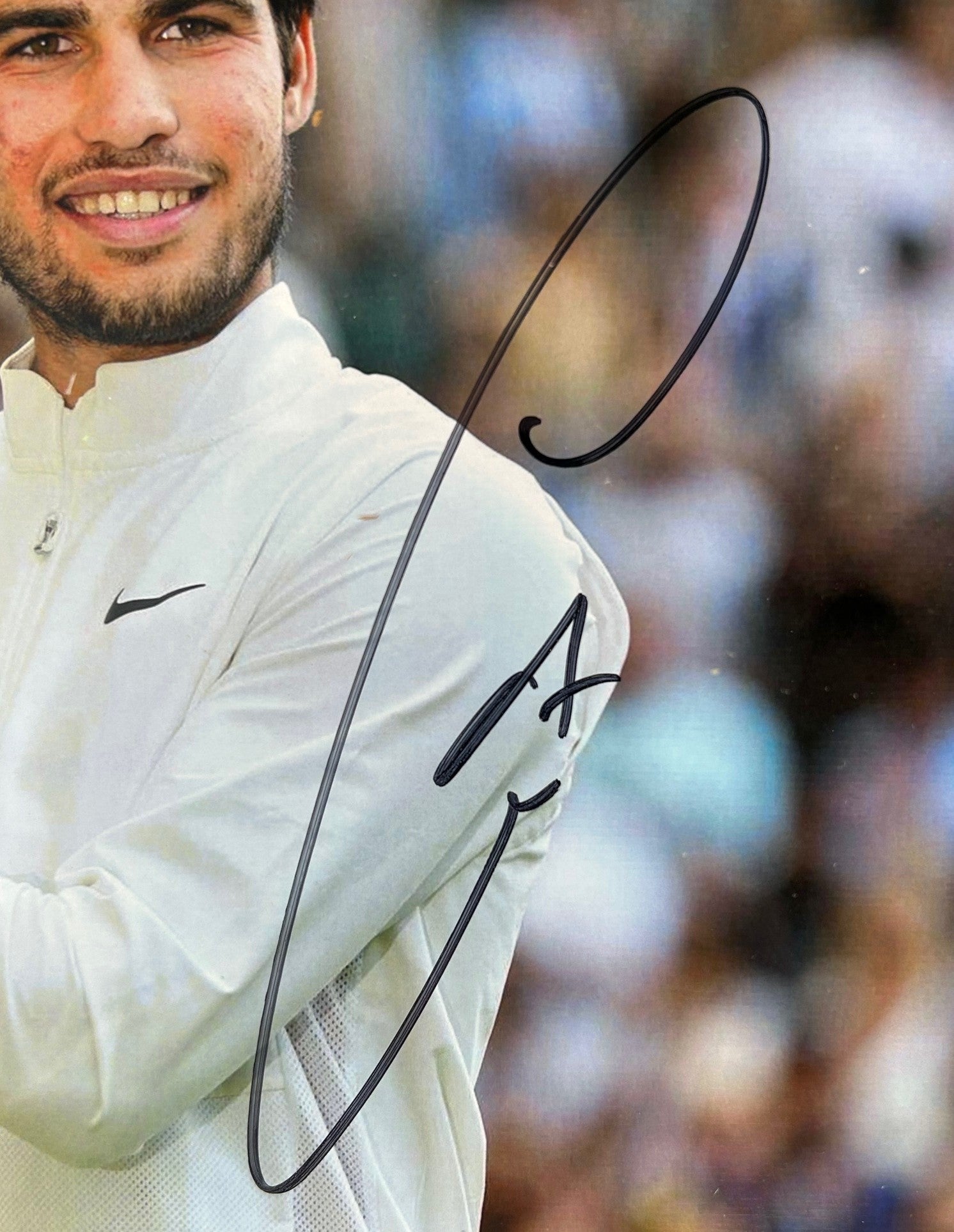 Carlos Alcaraz Autographed Wimbledon 8x10 Photo in 25.5"x25.5" Lighted Shadowbox JSA COA