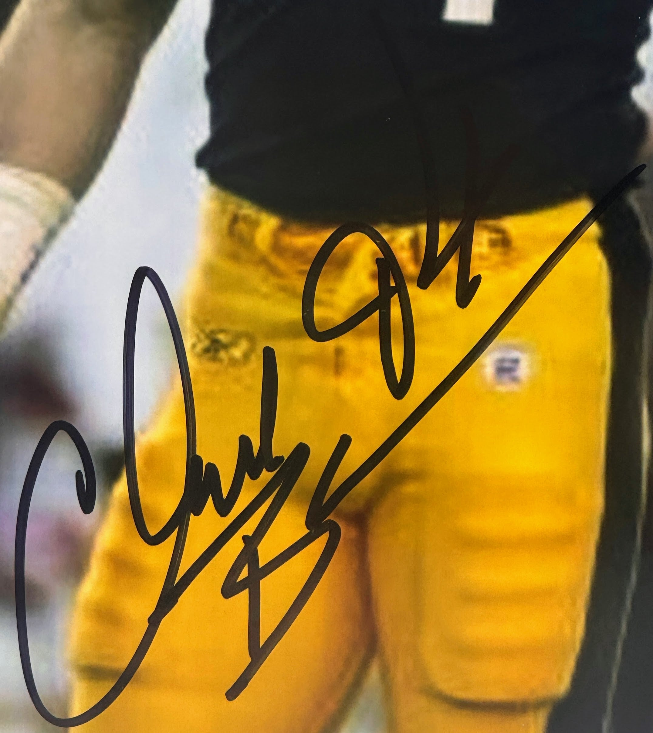 Chad Brown (Steelers) Autographed 8x10 Photograph (James Spence COA)