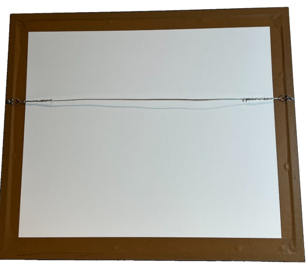 Emmanuel Sanders Autographed 16x20 Broncos Photo in Shadowbox James Spence COA