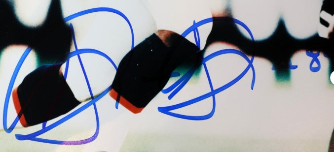 Shannon Sharpe Autographed Denver Broncos 8x10 Photo JSA COA