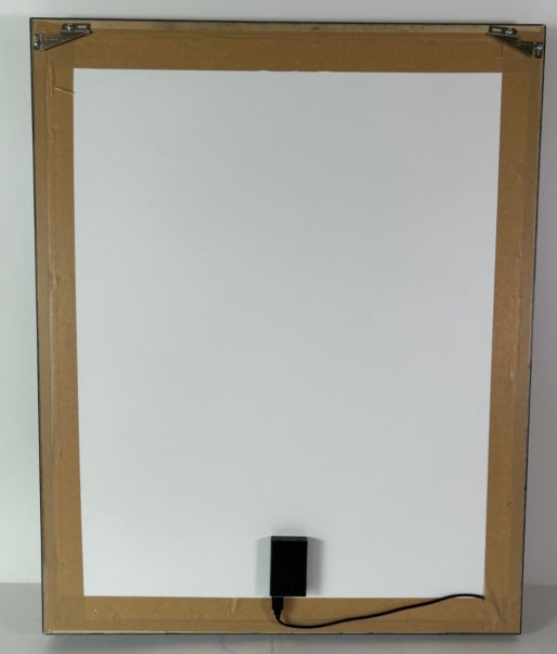 Michael Jordan & Magic Johnson Dual Autographed 16x20 in Custom LED Framed UDA