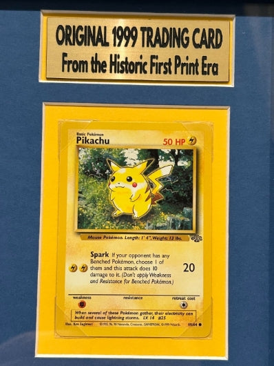 Pokémon Collage with Original 1999 Pikachu 50 HP Trading Card (14" x 18" Frame) with Satoshi Tajiri Laser Signature