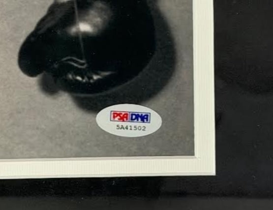 Cassius Clay Autographed 16x20 Photo with the Beatles JSA/DNA COA