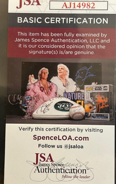 Ron Santo Autographed 8"x10" Chicago Cubs Photo in 15"W x 17"H Frame - JSA COA