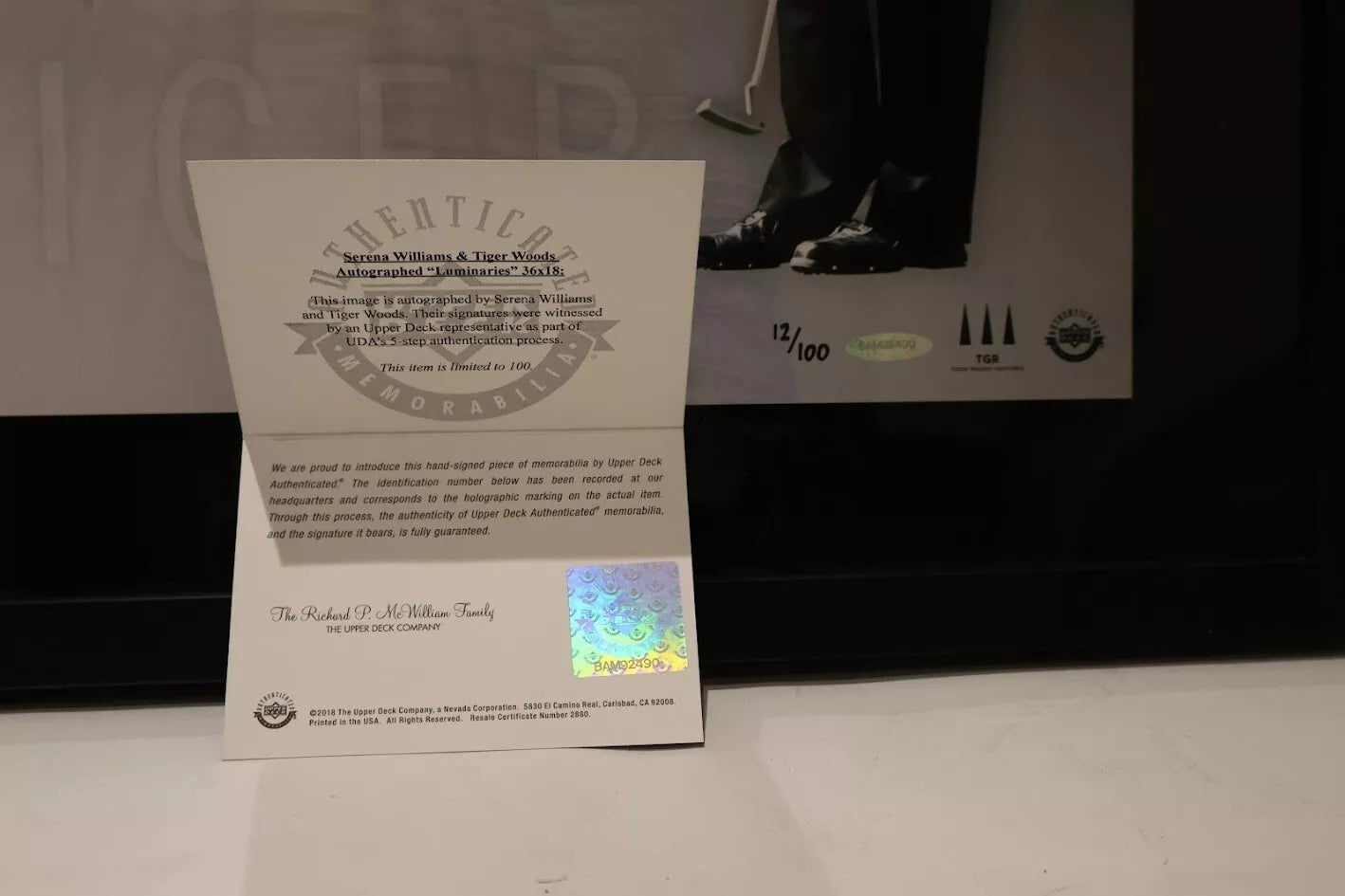 Serena Williams & Tiger Woods Autographed Piece - Upper Deck