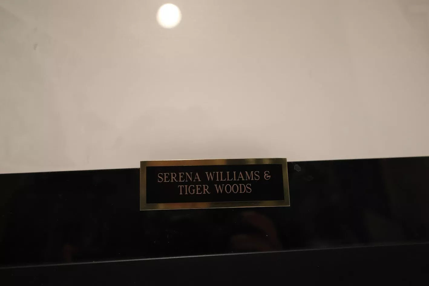 Serena Williams & Tiger Woods Autographed Piece - Upper Deck